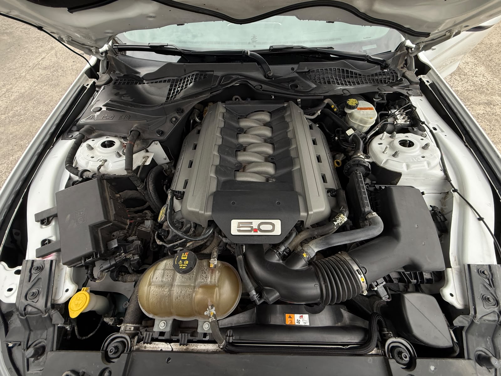 Ford Mustang Gt — foto 11 de 29